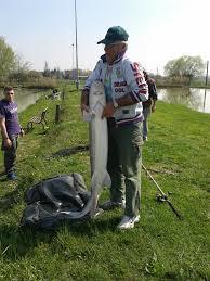 Laghi di Pieve Modolena